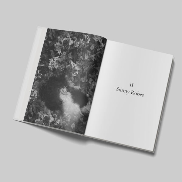 A Hymn to Human Beauty - Signed Hardback - Image 5
