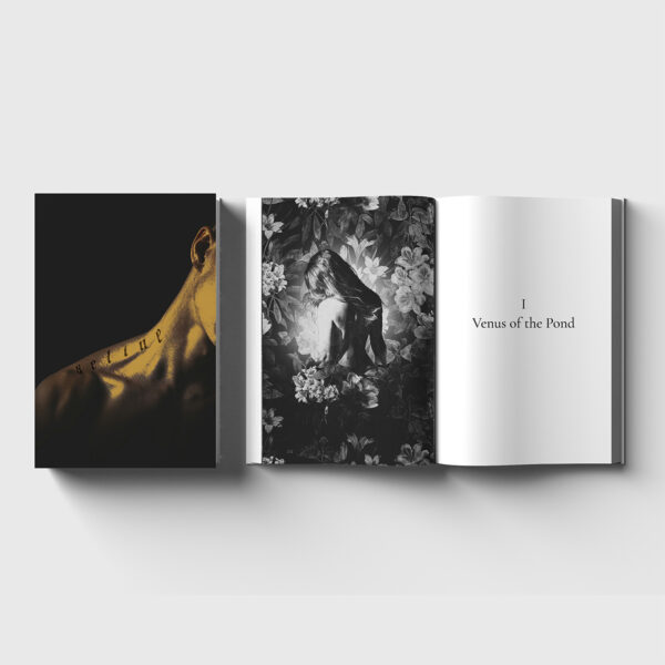 Seline - Signed Hardback - Image 2