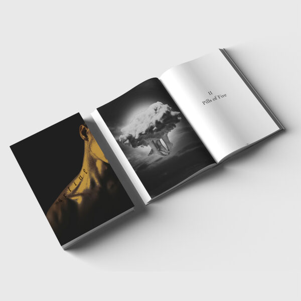 Seline - Signed Hardback - Image 4